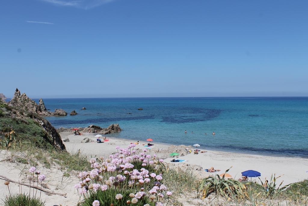 Olbia Tempio Hotel Club Ragno D'Oro מראה חיצוני תמונה