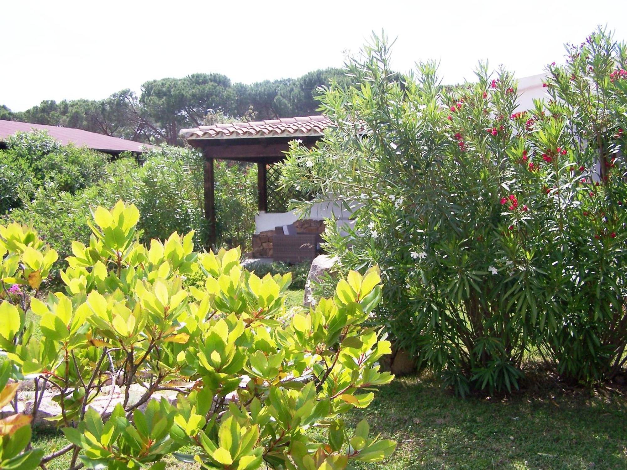 Olbia Tempio Hotel Club Ragno D'Oro מראה חיצוני תמונה